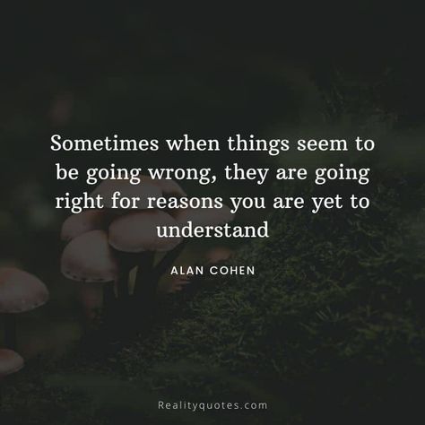 Alan Cohen Quotes, Outrageous Openness, A Course In Miracles Quotes, Course In Miracles Quotes, Cohen Quotes, Authors Quotes, Miracle Quotes, Quotes On Success, Shanty Town