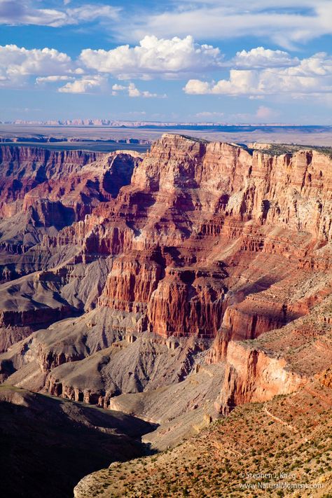 The Grand Canyon is easily one of the more iconic National Parks in the #USA  to visit – and with good reason, it’s breathtaking. Totally iconic and vast, there’s a heap of the best things to do in the Grand Canyon that are dotted all around the park. Plus, along with the Hualapai Indian Reservation, Kaibab National Forest and the Vermilion Cliffs, it’s the kind of place you can spend months exploring. Traveling Usa, Vermilion Cliffs, Grand Canyon Arizona, Indian Reservation, Arizona Usa, The Grand Canyon, National Forest, Travel Bucket, Travel Usa