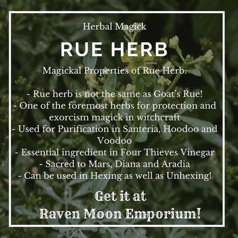 Herbs For Uncrossing, Spiritual Herbalism, Pagan Knowledge, Uncrossing Herbs, Four Thieves Vinegar, Witchy Herbs, Magick Herbs, Magic Queen, Herbs For Protection