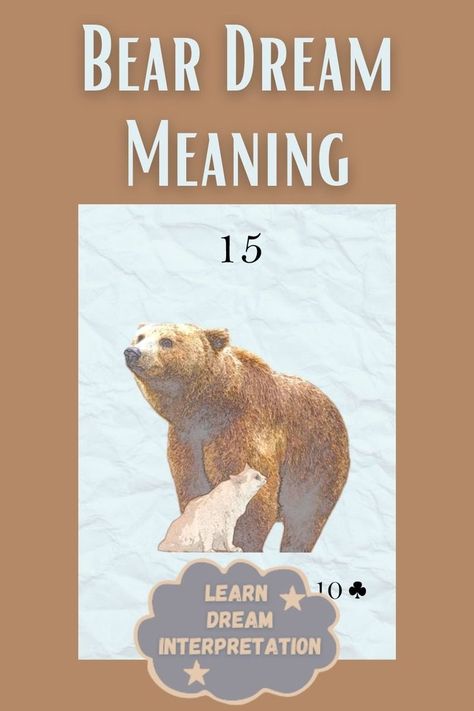 Discover 10 dream meanings for bear. And different angles for the bear symbol to help you with dream interpretation. Bear Symbolism, Bear Symbol, Dream Meanings, Dream Interpretation, Different Angles, Psychic Abilities, Idea Pins, The Bear, Teddy Bears