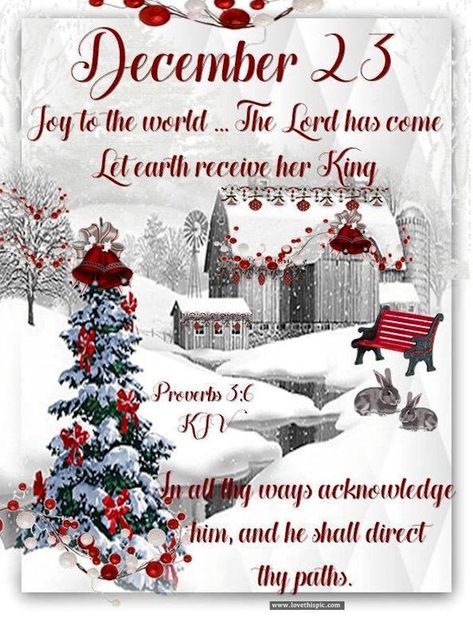 December Scriptures, Christmas Verses, Christmas Scripture, Christmas Bible Verses, Christmas December, Merry Christmas Quotes, Christmas Bible, 17 December, Christmas Poems