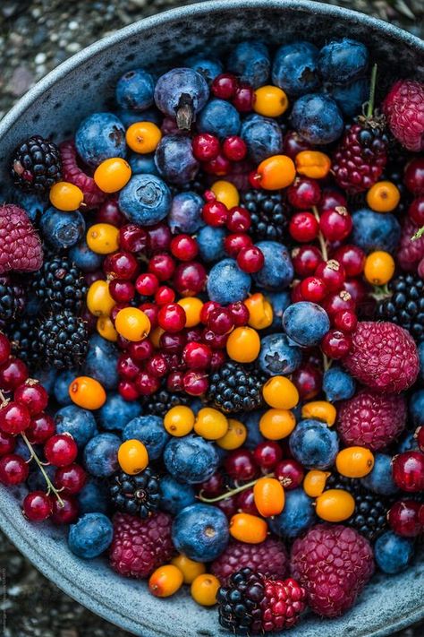 Forest Berries Aesthetic, Wild Berries Aesthetic, Berries Aesthetic, Food Wallpaper Aesthetic, Berry Aesthetic, Bowl Of Berries, Fruits Aesthetic, Berries Photography, Berry Photography