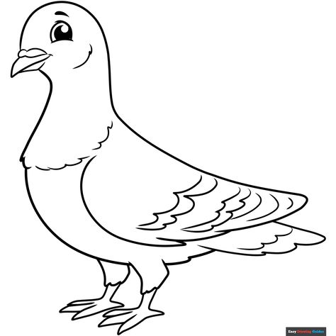 Free Pigeon Coloring Page for Kids Pigeon Printable, Pigeon Color, Pigeon Drawing, Pigeon Pictures, Easy Drawing Guides, Free Printable Coloring Sheets, Outline Images, Drawing Guides, Bird Coloring Pages