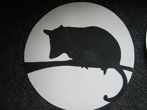 possum silhouette by morrisonchildren, via Flickr Opossum Pumpkin Carving, Opossum Silhouette, Possum Silhouette, Possum Art, Cajun Christmas, Patreon Art, Inspirational Rocks, Burning Wood, Pumpkin Stencil