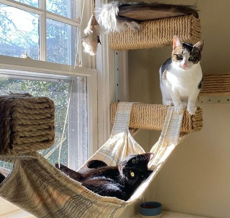 Build an Amazing DIY Cat Tree Tower: 7 Free Plans and Ideas