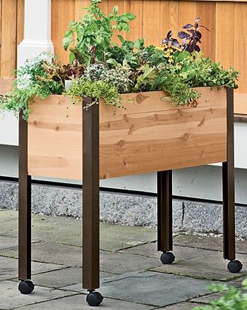 Herb Garden Designs with Plant Lists | Gardener's Supply Balcony Planter Boxes, Standing Garden, Herbal Tea Garden, Tiny Landscape, Small City Garden, Diy Garden Patio, Balcony Planters, Box Garden, Herbs Garden