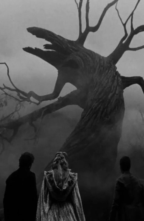 Shadowfell Aesthetic, Sleepy Hallow Aesthetic, Tim Burton Sleepy Hollow, Sleepy Hollow Wallpaper, Sleepy Hollow Tree, Sleepy Hollow Aesthetic, Sleepy Hollow Poster, Sleepy Hollow Disney, Abigail Core