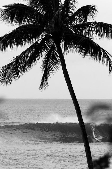 Mavericks Surfing, Black And White Beach, Soyut Sanat Tabloları, Surfing Photography, Surf Life, Black And White Aesthetic, White Picture, Foto Inspiration, In The Ocean