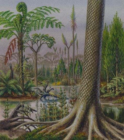 Carboniferous landscape, illustration - Stock Image - C039/7412 - Science Photo Library Carboniferous Period, Prehistoric Painting, Prehistoric World, Prehistoric Art, Paleo Art, Science Photos, Prehistoric Creatures, Prehistoric Animals, Landscape Illustration