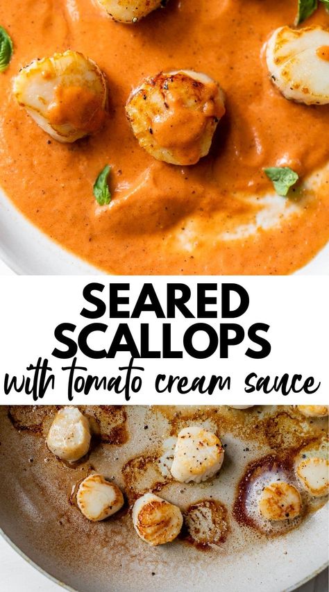 Seared Scallops are the ultimate "fancy" dinner recipe. They're pan-seared and coated in a delicious homemade, creamy tomato sauce that you'll want to make again and again! Scallops Sauce Recipe, Sauce For Scallops, Best Scallop Recipe, Scallop Recipes Pasta, Tomato Cream Sauce Pasta, Dinners Ideas, Scallop Pasta, Red Sauce Recipe, Tomato Butter