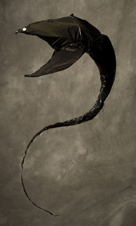 Deep Sea Creatures Art, Gulper Eel, Deep Sea Squid, Ocean Monsters, Scary Ocean, Deep Sea Life, Sea Creatures Art, Fauna Marina, Nature Projects