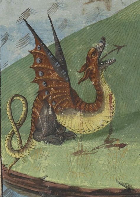 Medieval Animals, Medieval Bestiary, Sir Lancelot, Medieval Dragon, Medieval Artwork, Here There Be Dragons, Here Be Dragons, Medieval Manuscript, Illuminated Manuscripts