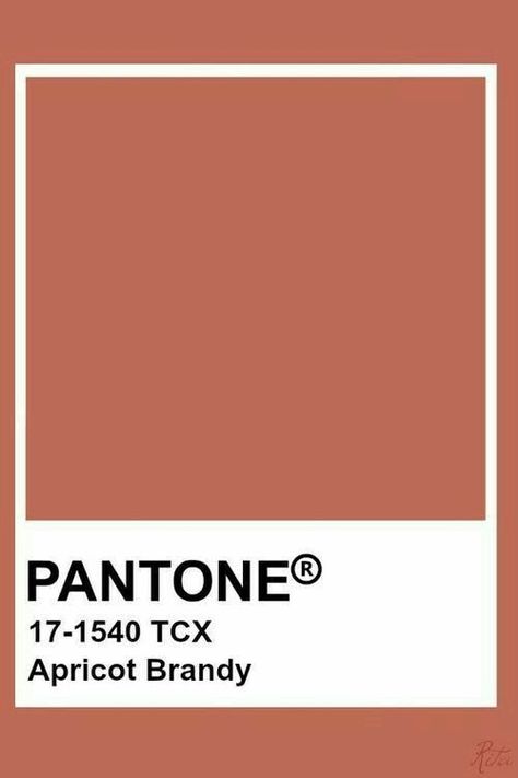 Pantone Tcx, Pantone Color Chart, Pantone Swatches, Color Terracota, Pantone 2020, Pantone Palette, Pantone Colour Palettes, Color Palette Design, Colour Board