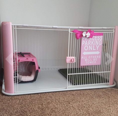 Aesthetic Dog Cage Ideas, Places To Take Your Dog, Puppy Bed Aesthetic, Small Dog Ideas, Decorated Dog Cage, Cute Dog Crate Ideas, Dog Set Up, Puppy Set Up Ideas, Diy Dog Bag