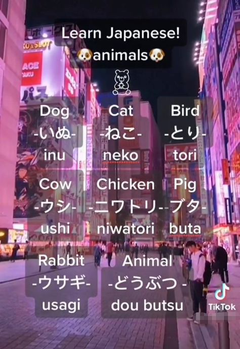 Learn Basic Japanese, Learn Japan, Bahasa China, Bahasa Jepun, Japanese Animals, Materi Bahasa Jepang, Learning Languages Tips, Basic Japanese Words, Japanese Language Lessons