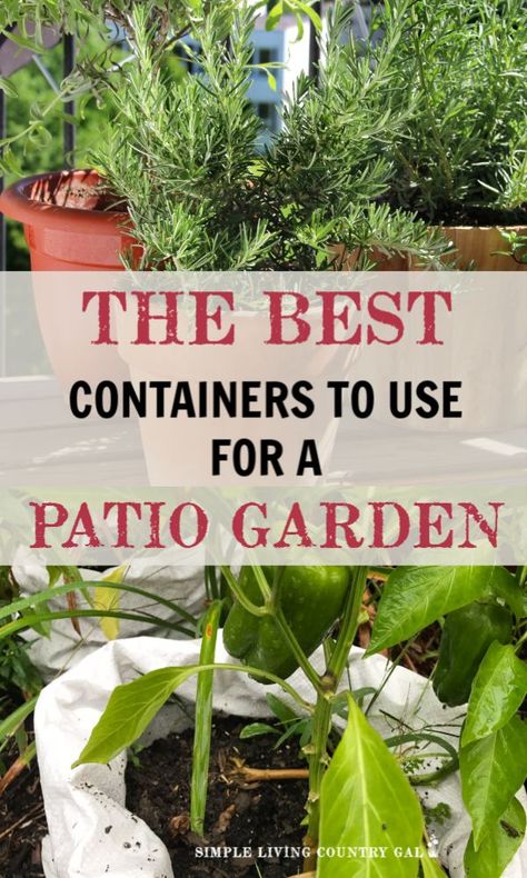 Patio Vegetable Garden, Indoor Gardening Supplies, Gemüseanbau In Kübeln, Patio Container Gardening, Funny Vine, Garden Cactus, Diy Garden Patio, Container Garden Design, Container Vegetables