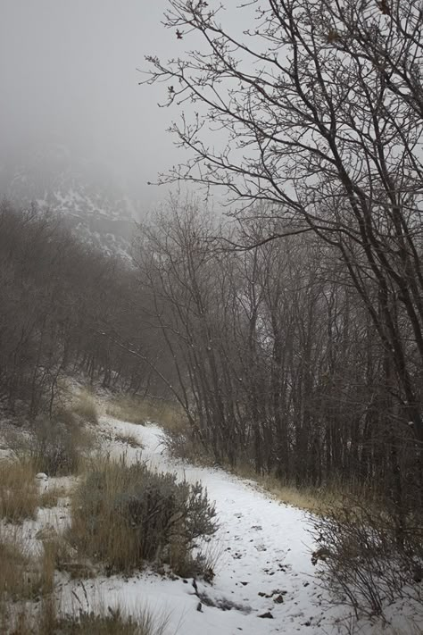 Tree On Slope, First Snow Aesthetic, Acoustic Guitar Photography, Drying Roses, Winter Love, First Snow, Winter Scenery, Jump In, Perfect Life