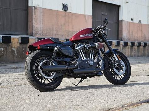 Harley-Davidson roadster Harley Roadster, Harley Davidson 1200, Motorcycle Icon, Harley Davidson Roadster, Hd Sportster, Cafe Racer Moto, Harley Davidson Trike, Tracker Motorcycle, Victory Motorcycles