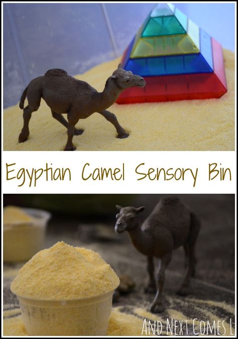 Super simple Egyptian desert sensory bin with camels from And Next Comes L Sensory Bin For Toddlers, Ancient Egypt Activities, Ancient Egypt For Kids, Simple Desert, Egypt Activities, Egyptian Desert, Egyptian Crafts, Passover Crafts, Egyptian Party