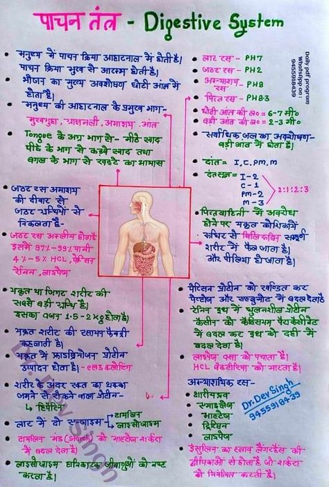 Biology Notes In Hindi, Gk Knowledge In Hindi, Gk Video, भारतीय इतिहास, Neet Notes, Gk Question In Hindi, Upsc Notes, India Gk, Human Body Facts