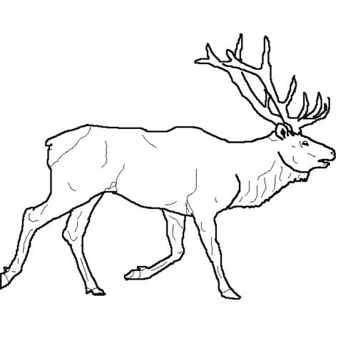 Deer Outline, Elk Drawing, Deer Drawing, Leather Craft Patterns, Deer Art, Outline Drawings, Elk, Artist Names, Forest Animals