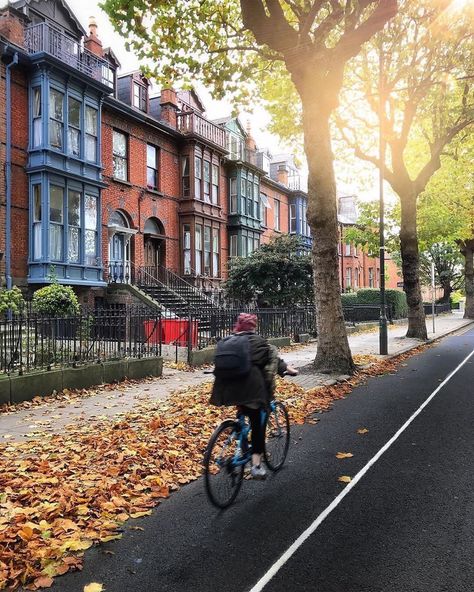 DiscoverDublin on Instagram: “Where’s your dream place to live in Dublin?  Harrington Street  Picture by @antppe  For your chance to be featured please follow…” Ireland Houses, Ireland Aesthetic, Dublin House, Ireland Pictures, Dublin Street, Street Pictures, Dream Place, Place To Live, Dublin Ireland