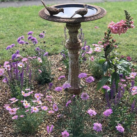 Wonderful from @nicholasandsteelevintage Flowers Around Bird Bath, Bird Bath Ideas, Bird Fountain, Rose Garden Design, Vegetable Garden Planning, Bird Bath Garden, Front Yard Garden Design, Hummingbird Garden, Side Garden