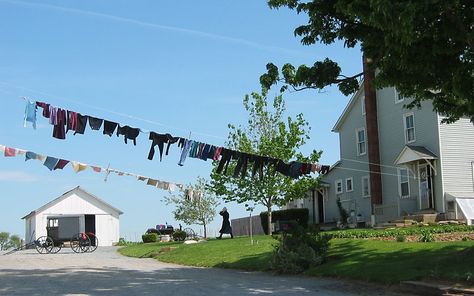 I was fascinated by these long clotheslines when we visited Amish country in and around Berlin, OH. Amish Clothing, Amish Lifestyle, Grape Arbor, John Stuart Mill, Amish House, Amish Culture, Amish Life, White Siding, Amish Community