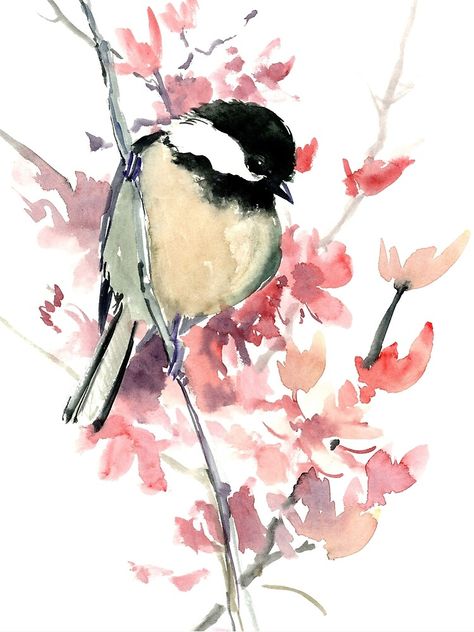 Chickadee Illustration, Bird Watercolor Paintings, Chickadees, Blossoms Art, Illustration Wall Art, Bird Drawings, Spring Blossom, Watercolor Bird, Affordable Wall Art