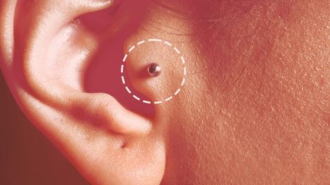 Tragus Piercings Are Everywhere Right Now — But Should You Get One? Tragus Piercings Jewelry, Tragus Ear Piercing Ideas, Tragus Piercing Healing Process, Eat Piercing Ideas, Ear Piercing Ideas Tragus, Pretty Ear Piercings Classy, Tragus Piercing Aesthetic, Tragus Piercing Ideas, Migraine Piercing