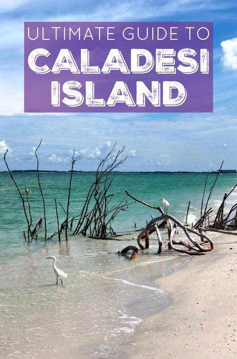 This is the ultimate guide to Caladesi Island! It contains everything you need to know + answers to all of your questions + information on how to walk to Caladesi Island State Park! Caladesi Island, Caladesi Island State Park, Where Is Bora Bora, Lanai Island, Best Island Vacation, Clearwater Beach Florida, Honeymoon Island, Florida Adventures, Florida State Parks