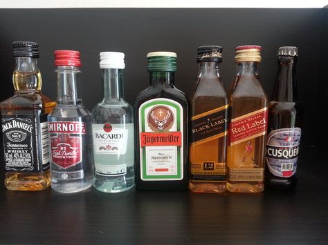 A little bit of this a little bit of that! Tiny Liquor Bottles, Mini Whiskey Bottles, Mini Bottles Of Alcohol, Miniature Alcohol Bottles, Bottles Of Alcohol, Mini Alcohol Bottles, Mini Liquor Bottles, Summer Drinks Alcohol, Whisky Bottle