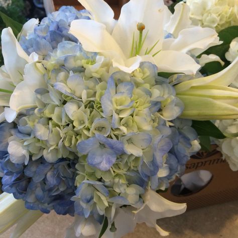 Hydrangea and lilies bouquet Hydrangea And Lily Bouquet, Lily And Hydrangea Bouquet, Wedding Flowers Lilies, Josie Wedding, Lilies Bouquet, Blue Hydrangea Bouquet, Bouquet Hydrangea, Blue Lilies, Hydrangea Flower Arrangements