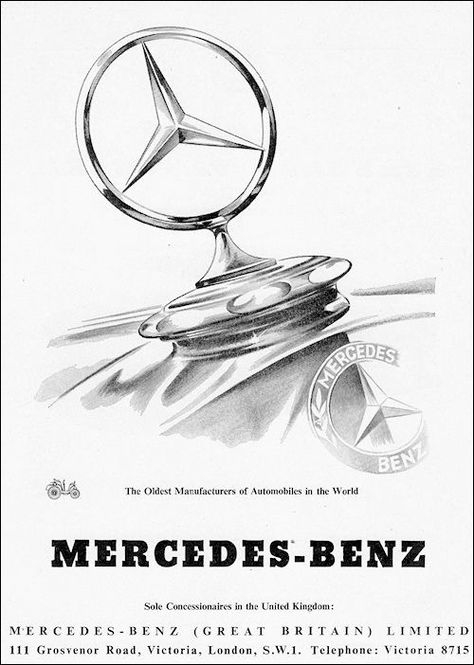 Mercedes-Benz - The Best or Nothing 🇨🇦😁 #mercedesbenz #mercedesbenzclassic #mercedesbenzclassics #mercedesbenzclassicclub #mercedesbenzenthusiast #mercedesbenzenthusiasts #mercedesbenzenthusiastsclub #mercedesbenzenthusiastclub #mbenthusiast #mbenthusiasts #mbthebestornothing #mbtheoneandonly #mbthetruestar #thebestornothing #theoneandonly #thetruestar #mbad #mbads #mbhistoricad #mbhistoricads Mercedes W123, Car Hood Ornaments, Old Mercedes, Benz Cars, Mercedes G Wagon, Mercedes Sl, Mercedes Maybach, Classic Mercedes, Benz Amg