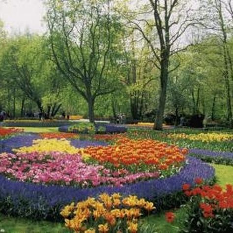 Add tick-resistant plants to the garden to make your outdoor spaces more pleasant. Circle Flower Bed, Colorful Flower Beds, Flower Bed Edging, Circle Flower, Flower Bed Designs, Garden Wallpaper, Annual Flowers, Garden Pests, Flower Bed