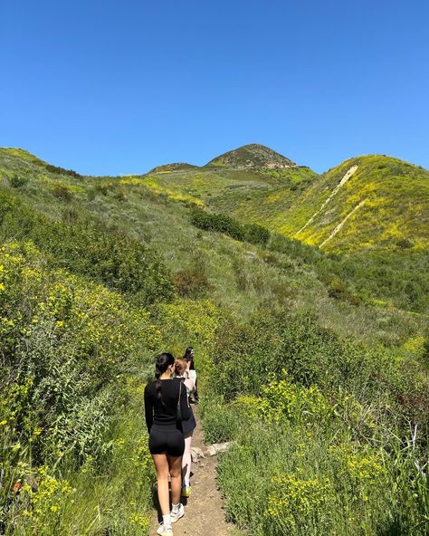 malibu hikes, la aesthetic, erewhon, flowers, greenery, summer vibes, summer hikes, views, countryside Los Angeles Hike Aesthetic, Hike View Aesthetic, Sunrise Hike Aesthetic, Malibu Hikes, Hiking Sunset Aesthetic, La Hikes, Malibu Creek State Park, Southern California Travel, Vision Board Pics