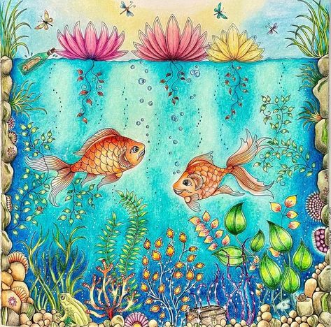 Ning Shu on Instagram: "Secret Garden - Johanna Basford 秘密の花園- Fish Pond 魚のいる池 My patience has come the end. I can no longer keep polishing this page. It has taken me five days to completely it. Still not happy with the background😊. #johannabasford #secretgardencoloringbook #johannabasfordcoloringbooks #colouringforadults #coloringtherapy #coloringistherapy #colouringforgrownups #colouring #adultcoloringforum #coloringisfun #coloringpages #addictedcoloring #prismacolors #friendswh Johanna Basford Secret Garden Coloring Book, Secret Garden Coloring Book Finished, Secret Garden Johanna Basford, Basford Secret Garden, Joanna Basford Coloring, Johanna Basford Secret Garden, Secret Garden Coloring Book, Secret Garden Colouring, Joanna Basford