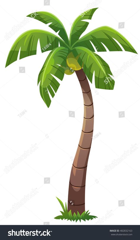 Coconut tree cartoon style, vector art and illustration. #Ad , #spon, #cartoon#tree#Coconut#style Coconut Tree Cartoon, Tiki Background, Coconut Tree Illustration, Coconut Tree Drawing, Coconut Style, Cartoon Props, Coconut Vector, Jungle Safari Cake, Cartoon Tree