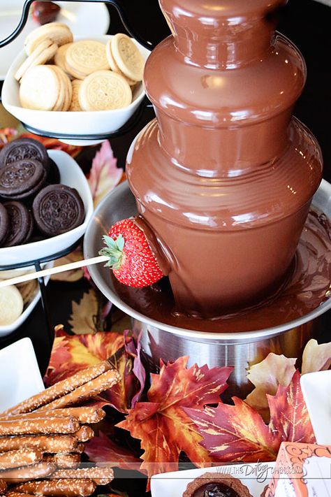 Becca-Choctoberfest-Fountain 16 Party Ideas, Sweet 16 Party Ideas, Chocolate Fountain Recipes, Chocolate Dipping, Birthday Plans, Chocolate Fountain, Sweet 16 Party, The Dating Divas, Dating Divas