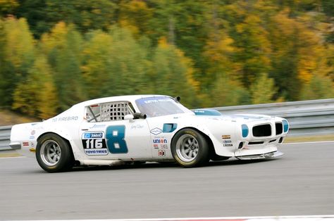 Pontiac Firebird Trans Am, Stock Car Racing, Old Race Cars, Classic Vehicles, Mustang Cars, Vintage Race Car, Sports Car Racing, Trans Am, Pontiac Gto