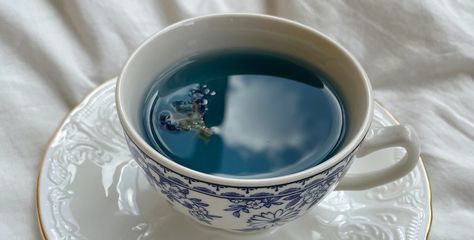 Butterfly pea flower is looking to take spirulina's throne. How To Make Butterfly, How To Make Clouds, Sistem Pencernaan, Butterfly Pea Tea, Butterfly Pea Flower Tea, Vegan Milk, Butterfly Pea Flower, Pink Cups, Butterfly Pea