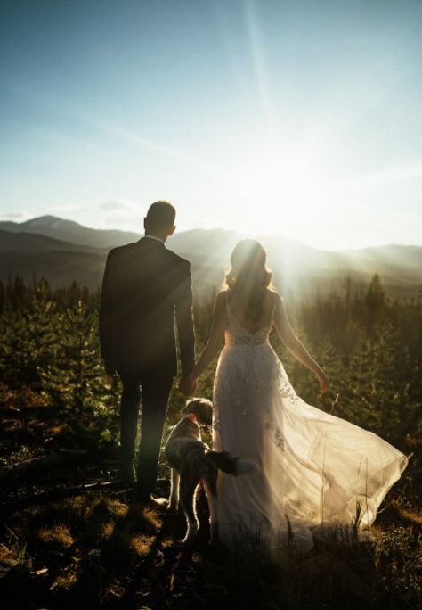 Wedding Photo Ideas With Dogs, Elopement With Dog, Wedding Photo With Dog, Wedding Pictures With Dogs, Wedding Photos With Dogs, Dog Elopement, Dog Wedding Photos, Dog In Wedding, Forest Wedding Photography