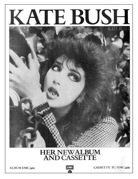 Kate Bush The Dreaming, Punk Poster, Kate Bush, Music Poster Design, Dorm Posters, Rock N’roll, Vintage Poster Art, Band Posters, New Poster