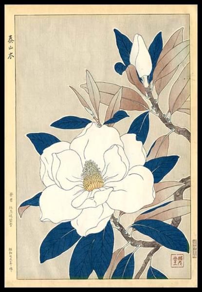 Japanese Art Modern, Korean Painting, Illustration Botanique, Painting Flower, Japanese Woodblock, Art Japonais, Japanese Woodblock Printing, China Art, Art Brut