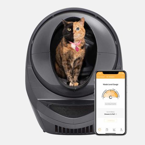 Automatic Cat Litter Boxes | Sifting, Self-Flushing, Robotic, and More Litter Box Smell, Best Litter Box, Automatic Litter Box, Litter Robot, Self Cleaning Litter Box, Cleaning Litter Box, Best Cat Litter, Tidy Cats, Clay Cat