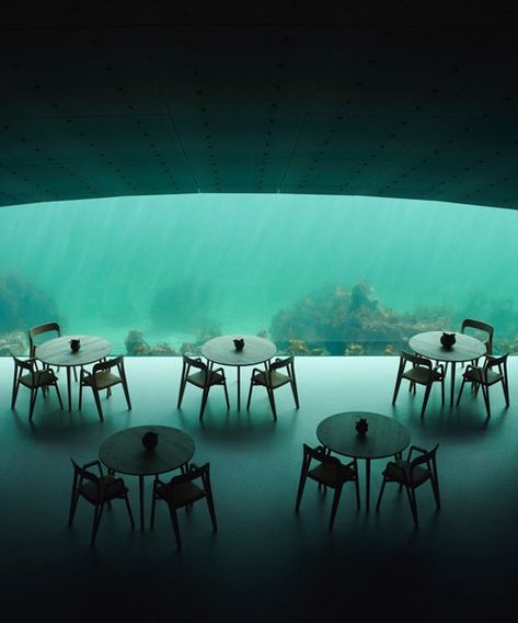 snøhetta completes europe's first underwater restaurant in norway Concept Restaurant, Norway Design, Underwater Restaurant, Concrete Structure, Concrete Wall, Design Milk, Architecture Firm, Elle Decor, Restaurant Design