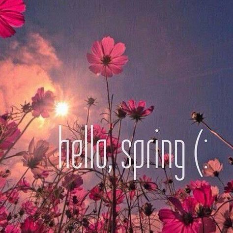 Hello September! Happy 1st day of Spring :-) Hello Spring Quotes, 1st Day Of Spring, Seasons Months, Season Quotes, Hello April, Spring Quotes, Spring Images, Hello September, Spring Pictures