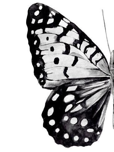 Art Print: Monochrome Wings I by Annie Warren : 12x9in Black And White Stars Art, Monochromatic Art Black And White, Gray Pictures For Wall Collage, Photo Wall Collage Prints, Aesthetic Prints Black And White, High Contrast Painting, Printable Wall Art Black And White, Black And White Prints Aesthetic, Black And White Star Background