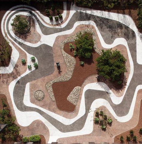 Gallery of Roberto Burle Marx: Brazilian Modernist - 1 Burle Marx, Landscape Architecture Drawing, Roof Architecture, Landscape Architecture Design, Landscape Plans, Roof Garden, Green Roof, Landscape Projects, Skate Park