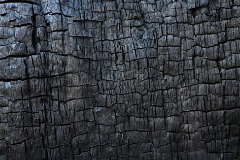 Burned Wood texture. Close up. close up , #SPONSORED, #Wood, #Burned, #texture, #close, #Close #ad Burnt Wood Texture, Box Reference, Painting Jeans, Burnt Wood Finish, Bottle Lables, Burnt Paper, Banana Breakfast Smoothie, Burned Wood, Burnt Wood